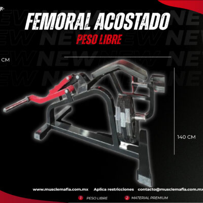Femoral Acostado Peso Libre