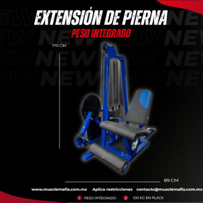 Extensión Pierna