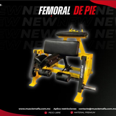 Femoral de Pie