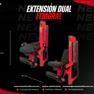 Extensión Dual Femoral