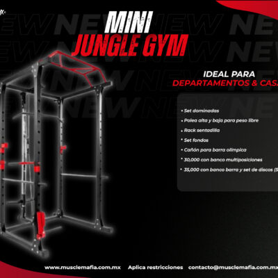 Mini Jungla Gym