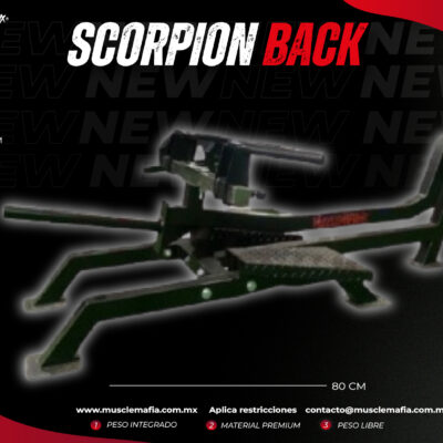 Scorpion Back