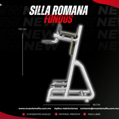 Silla Romana