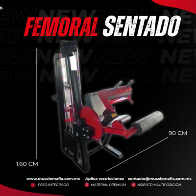 Femoral Sentado