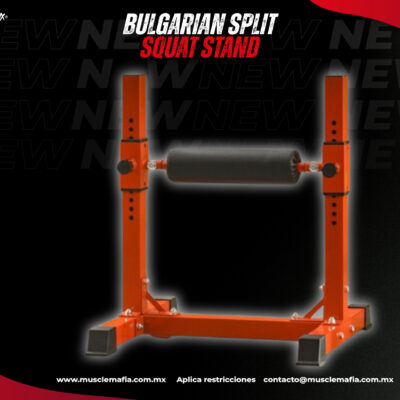 Bulgarian Split Squat Stand