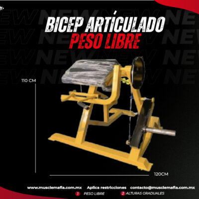 Bícep Articulado Peso Libre