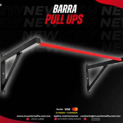 Barra Pull Ups