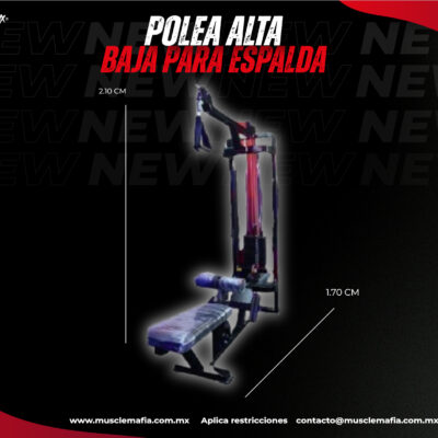 Polea Alta para Espalda