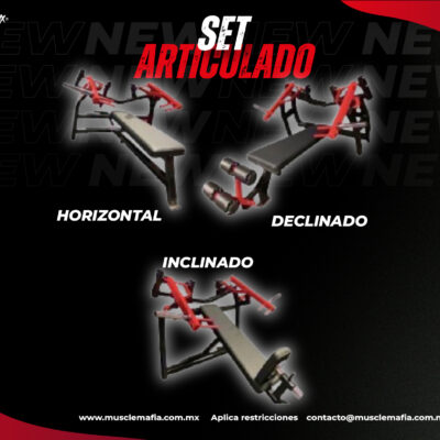 SET ARTICULADO