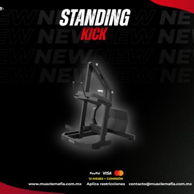 Standing Kick